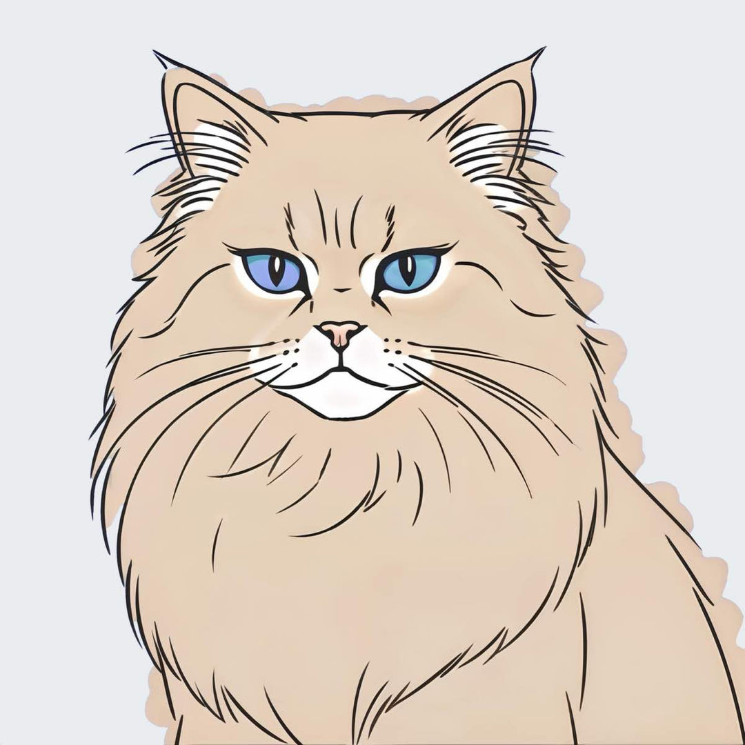 Persian cat with beautiful long fur