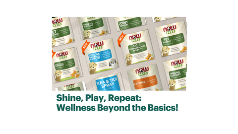 Shine, Play, Repeat: Wellness Beyond the Basics!