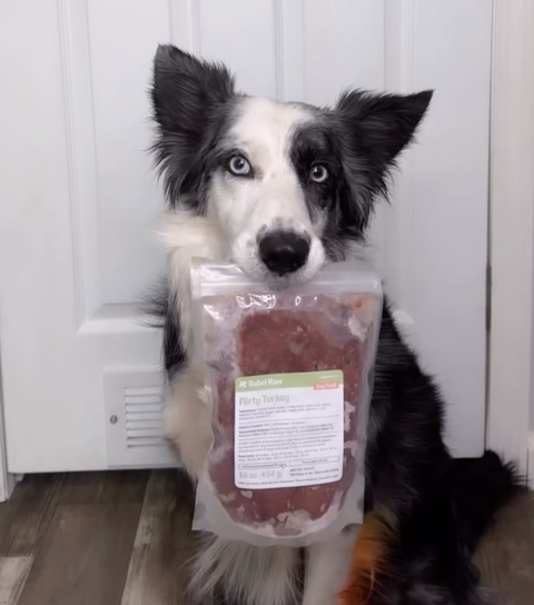 How To Choose Safe, Balanced Raw Puppy Food