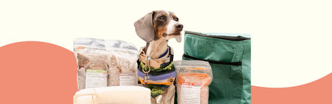 Complete and Balanced Raw Nutrition for Dogs