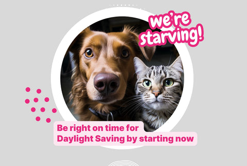 Preparing for Daylight Saving Time: Why Late Feeding Is the Key