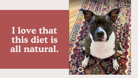 The Booch absolutely LOVES this food!