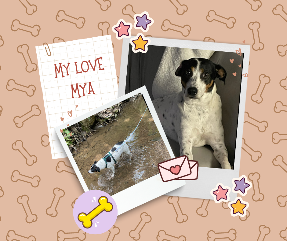 I have complete and unwavering trust with Tina and Matt — Rebel Raw