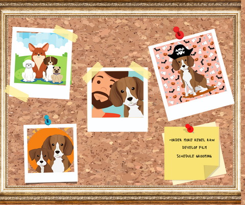 If you love your pet, rebel raw has amazing products