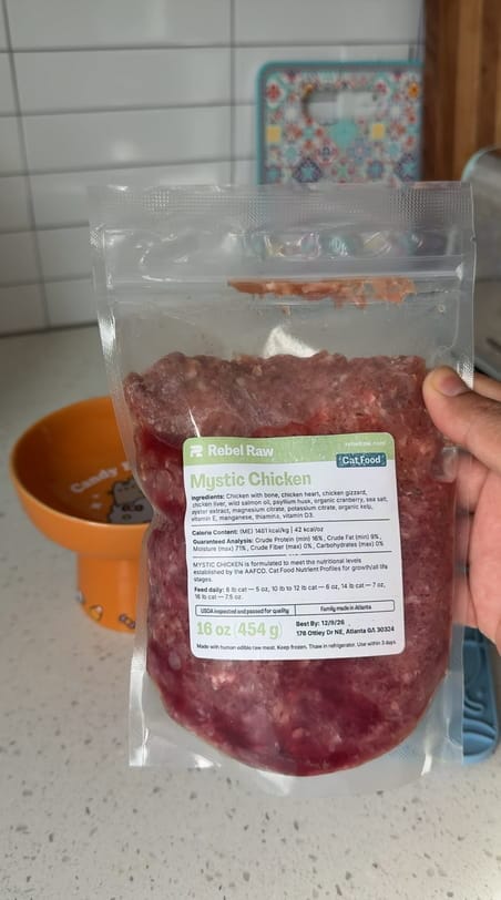 Safe Raw Feeding Transition Plan for Cats
