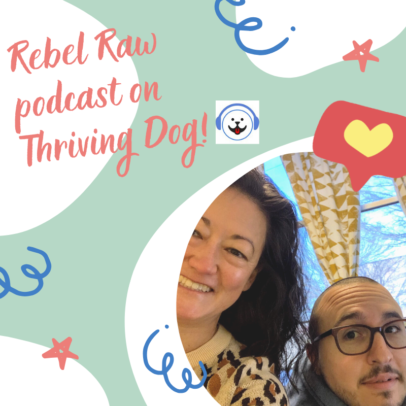 Making Raw Food Easy with Rebel Raw: Featured on Thriving Dog