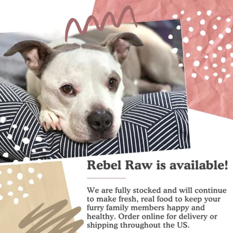 Rebel Raw is available!