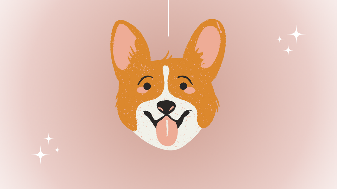 I love this company!