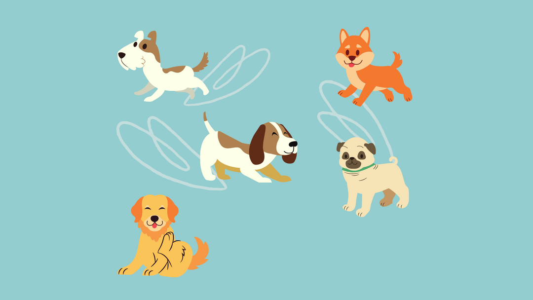 The Customer Service is exceptional!