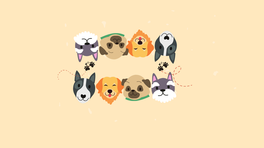 I absolutely love this food for my dogs!