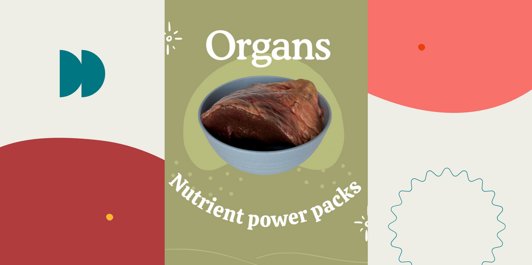 Organs — Nutrient Power Packs