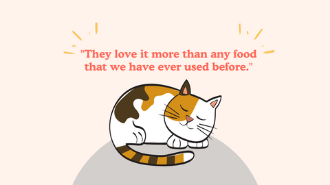 Better in Every Way