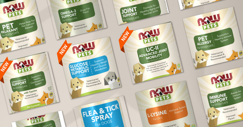 Revitalize Your Pet's Health with Rebel Raw & NOW®️ Pets