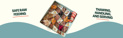 Safe Raw Feeding: Thawing, Handling, and Serving