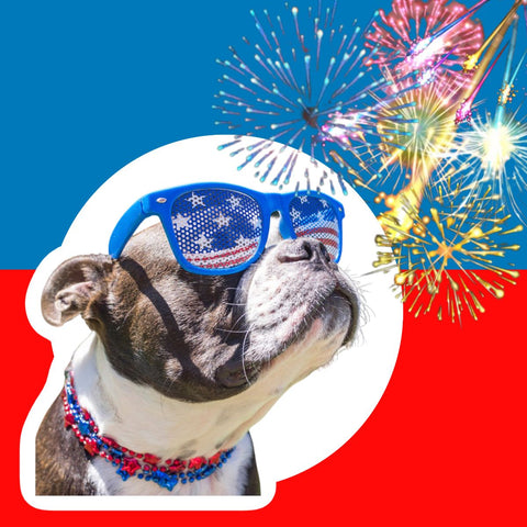 Give your pet the taste of Freedom