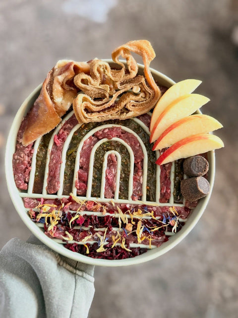 Natural Dog Food Vs Kibble: What to Know First