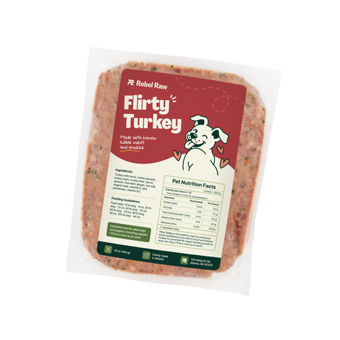 Flirty Turkey