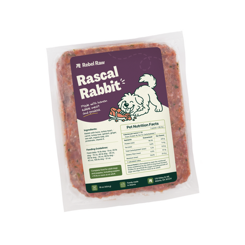 Rascal Rabbit